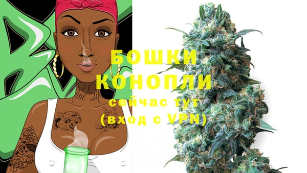 крисы Лабытнанги